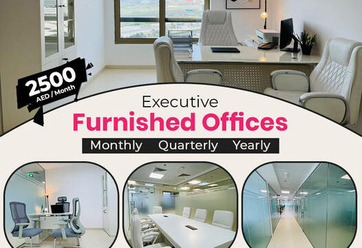 Executive Furnished Offices